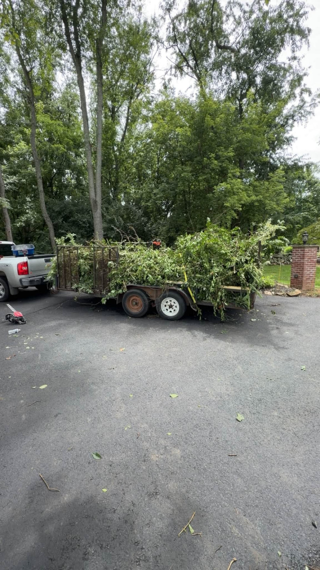 Trailer loaded with branches and brush after a property cleanup in Martinsburg WV